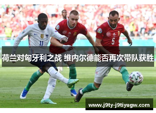 荷兰对匈牙利之战 维内尔德能否再次带队获胜