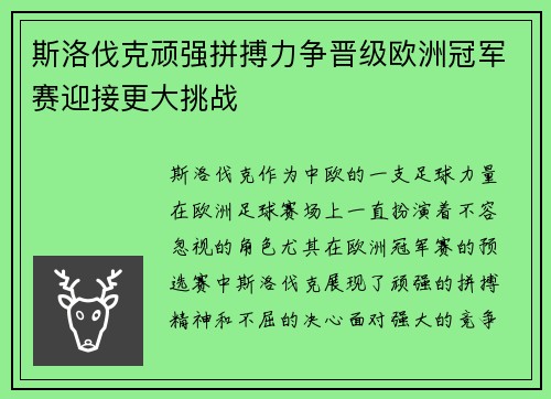 斯洛伐克顽强拼搏力争晋级欧洲冠军赛迎接更大挑战