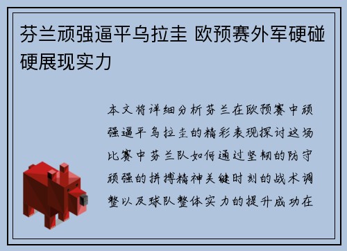 芬兰顽强逼平乌拉圭 欧预赛外军硬碰硬展现实力